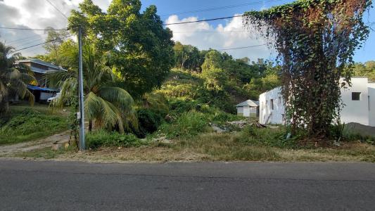 Annonce Vente Terrain Abymes 971