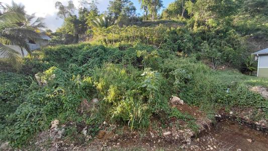 Acheter Terrain 1281 m2 Abymes