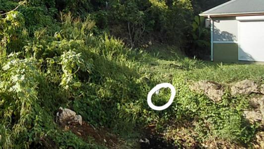 Acheter Terrain Abymes Guadeloupe