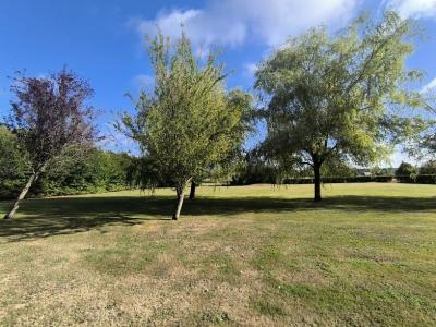 Acheter Maison 132 m2 Mondrepuis