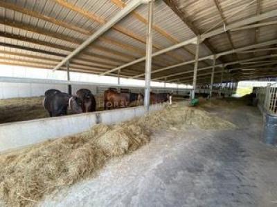 Acheter Immeuble 1 m2 Surzur