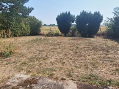 Acheter Maison 80 m2 Nerondes