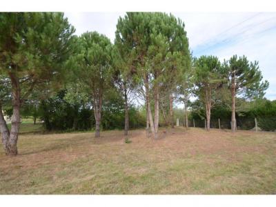 Annonce Vente Terrain Fieu 33