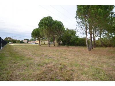 Acheter Terrain Fieu Gironde
