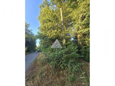 Annonce Vente Terrain Saint-just-le-martel 87