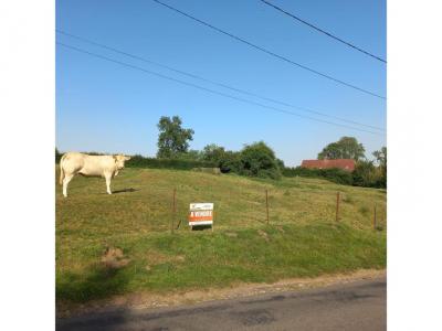 Annonce Vente Terrain Fressin 62