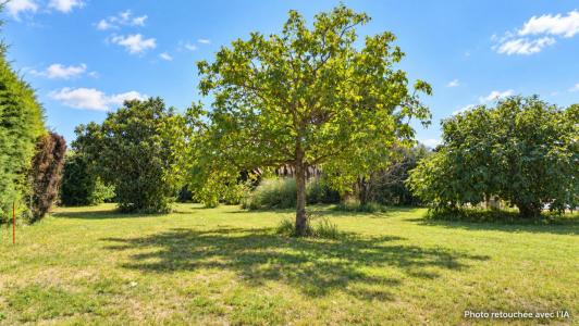 For sale Aubignan 1387 m2 Vaucluse (84810) photo 0