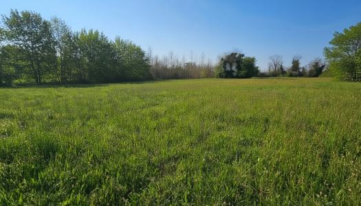 For sale Lafox 982 m2 Lot et garonne (47240) photo 0