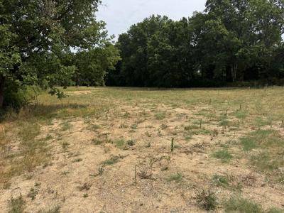 For sale Villaudric 1752 m2 Haute garonne (31620) photo 1