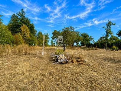 Annonce Vente 11 pi�ces Maison Vatan 36
