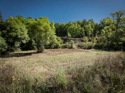 For sale Couze-et-saint-front 3199 m2 Dordogne (24150) photo 0