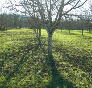 Acheter Maison Meyronne 287000 euros