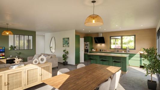 Acheter Maison 105 m2 Avion