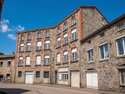 Annonce Vente 5 pi�ces Appartement Seauve-sur-semene 43