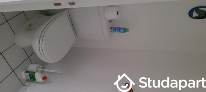 Louer Appartement Saclay 620 euros