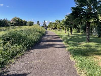 Annonce Vente Terrain  64
