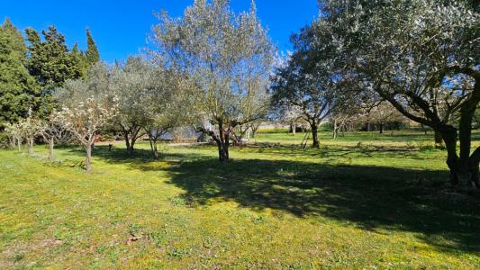 Annonce Vente Terrain Lasserre-de-prouille 11