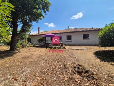 Annonce Vente 6 pi�ces Maison Teich 33