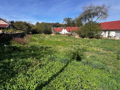 For sale Recologne-les-rioz 1054 m2 Haute saone (70190) photo 2