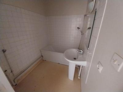 Annonce Location Appartement Grenoble 38