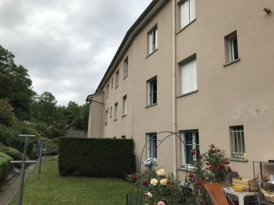 Annonce Vente 3 pi�ces Appartement Fouillouse 42