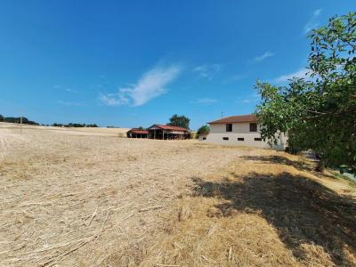 Annonce Vente Prestige Thermes-magnoac 65