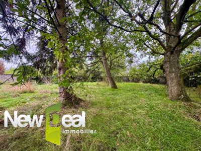 Acheter Maison Beuvry-la-foret Nord
