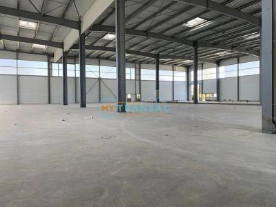 Annonce Location Commerce Torcy 77