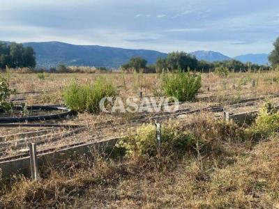 For sale Nice 6900 m2 Alpes Maritimes (06200) photo 0