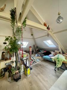 For rent Rueil-malmaison 2 rooms 55 m2 Hauts de Seine (92500) photo 0