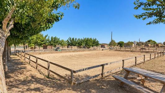 Annonce Vente Prestige Beziers 34