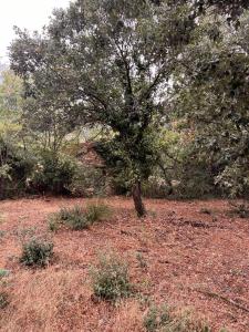Annonce Vente Terrain  34