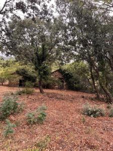 Acheter Terrain  18000 euros