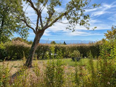 Annonce Vente 5 pi�ces Maison  64