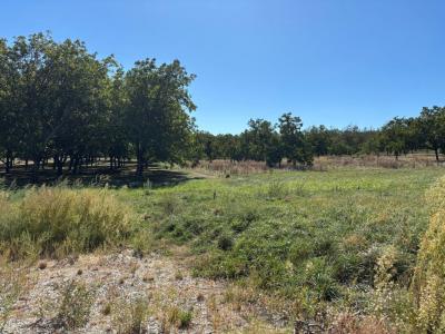 Annonce Vente Terrain Tullins 38