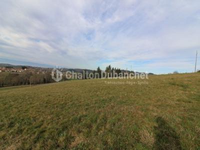 Annonce Vente Terrain Montchal 42