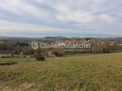 Acheter Terrain 1240 m2 Montchal