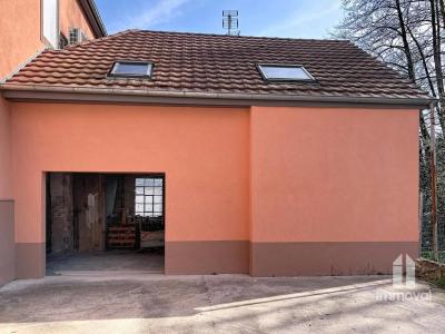 Annonce Vente Commerce Allenwiller 67