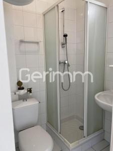 Louer Appartement Grenoble 393 euros
