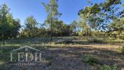 Vente Terrain Agen  2 pieces 4603 m2