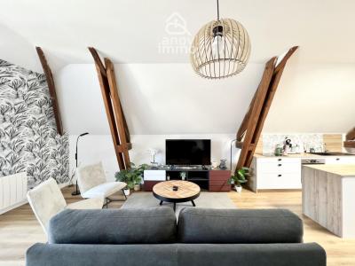 Acheter Maison Jaunay-clan Vienne