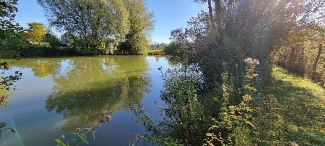 For sale 6000 m2 Yonne (89140) photo 0