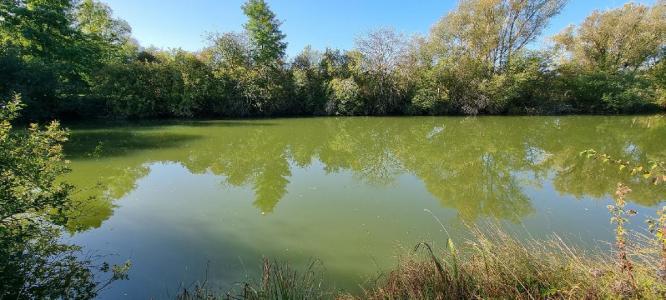 Annonce Vente Terrain  89