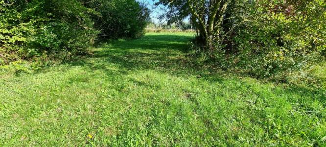 Acheter Terrain  48500 euros