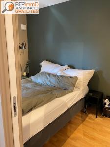 Louer Appartement Nice 500 euros