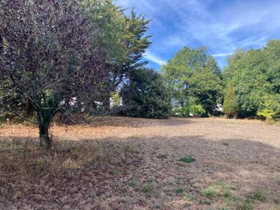 For sale Sarzeau 1151 m2 Morbihan (56370) photo 0