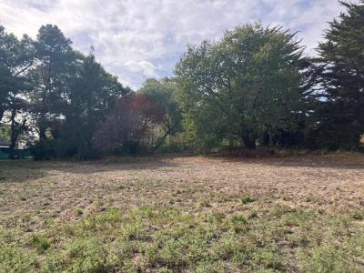For sale Sarzeau 1151 m2 Morbihan (56370) photo 1