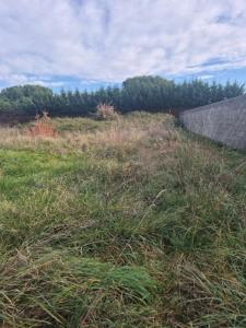 Annonce Vente Terrain Leguevin 31