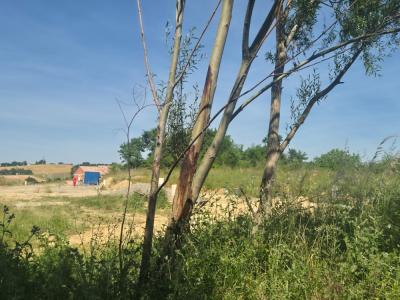 For sale Isle-jourdain 1150 m2 Gers (32600) photo 2