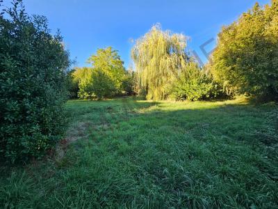Annonce Vente Terrain Vincelles 89